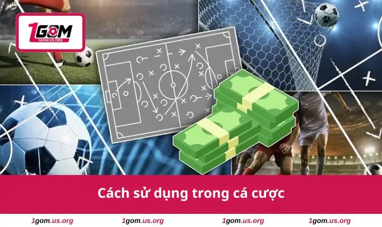 Cách sử dụng trong cá cược